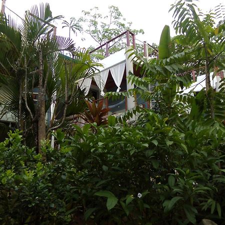 Iluminar Beachfront Suites 诺萨拉 外观 照片